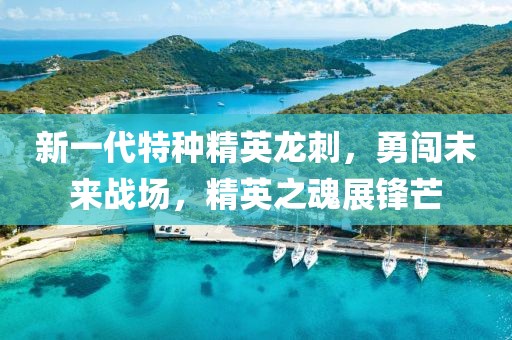新一代特种精英龙刺，勇闯未来战场，精英之魂展锋芒
