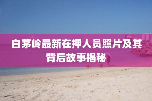 白茅岭最新在押人员照片及其背后故事揭秘