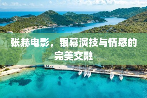 张赫电影，银幕演技与情感的完美交融