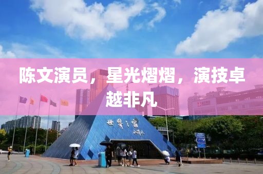 陈文演员，星光熠熠，演技卓越非凡