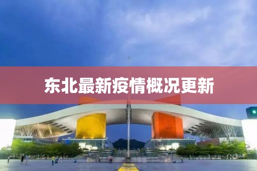 东北最新疫情概况更新