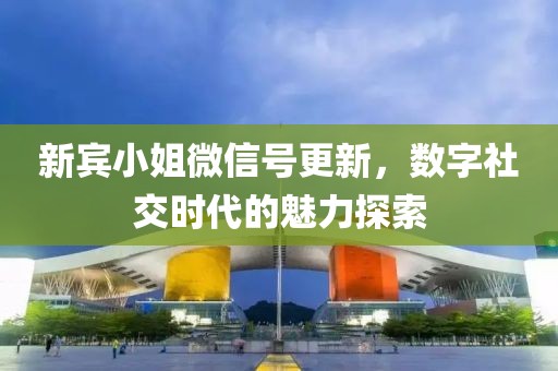 新宾小姐微信号更新，数字社交时代的魅力探索