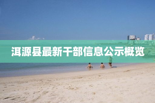 洱源县最新干部信息公示概览