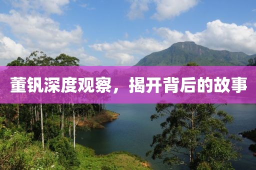 董钒深度观察，揭开背后的故事