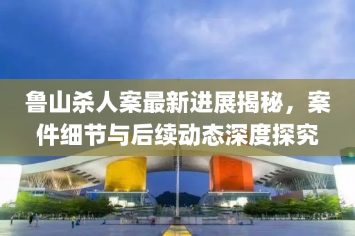鲁山杀人案最新进展揭秘，案件细节与后续动态深度探究