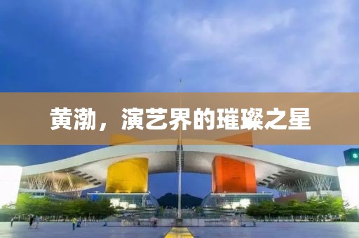 黄渤，演艺界的璀璨之星