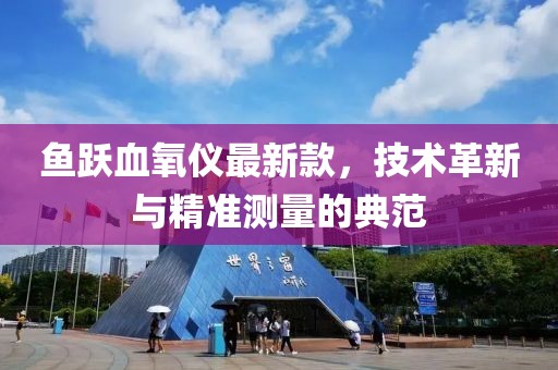 鱼跃血氧仪最新款，技术革新与精准测量的典范