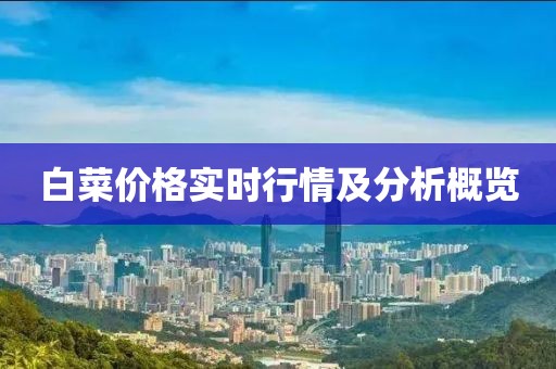 白菜价格实时行情及分析概览