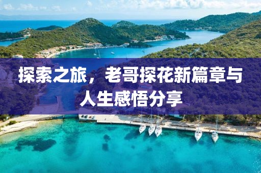探索之旅，老哥探花新篇章与人生感悟分享