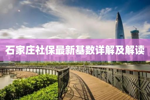 石家庄社保最新基数详解及解读