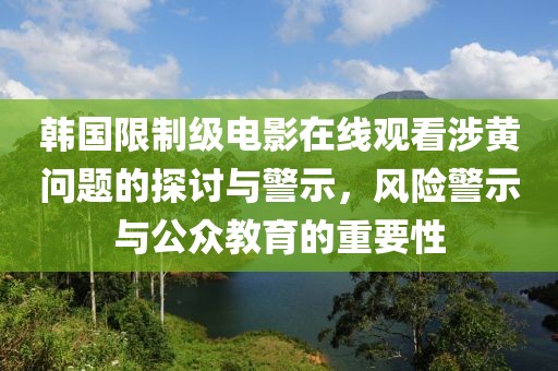 韩国限制级电影在线观看涉黄问题的探讨与警示，风险警示与公众教育的重要性