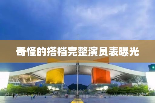 奇怪的搭档完整演员表曝光