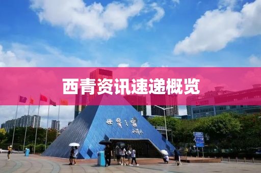 西青资讯速递概览