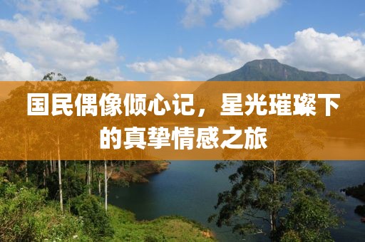 国民偶像倾心记，星光璀璨下的真挚情感之旅