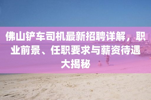 佛山铲车司机最新招聘详解，职业前景、任职要求与薪资待遇大揭秘