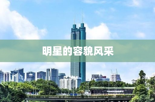 明星的容貌风采