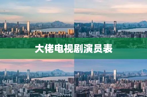 大佬电视剧演员表