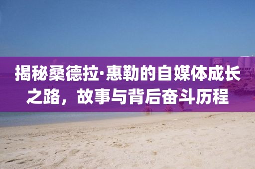 两把枪闯天下 第72页