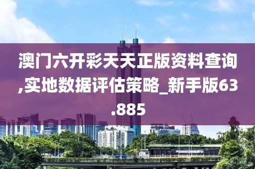 澳门六开彩天天正版资料查询,实地数据评估策略_新手版63.885