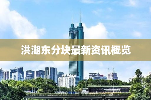 洪湖东分块最新资讯概览