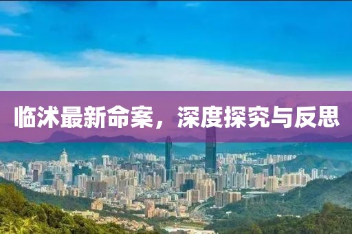 临沭最新命案，深度探究与反思