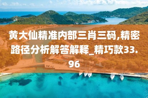 黄大仙精准内部三肖三码,精密路径分析解答解释_精巧款33.96