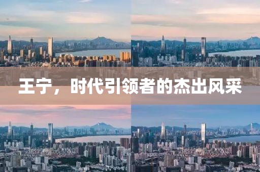 王宁，时代引领者的杰出风采