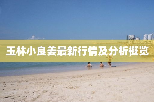 玉林小良姜最新行情及分析概览