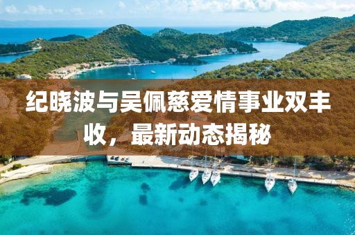 纪晓波与吴佩慈爱情事业双丰收，最新动态揭秘