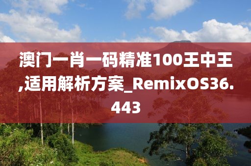 澳门一肖一码精准100王中王,适用解析方案_RemixOS36.443