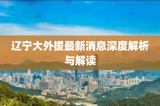 辽宁大外援最新消息深度解析与解读