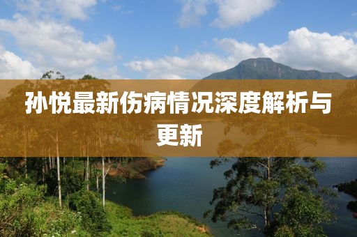孙悦最新伤病情况深度解析与更新