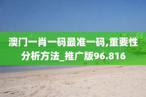澳门一肖一码最准一码,重要性分析方法_推广版96.816