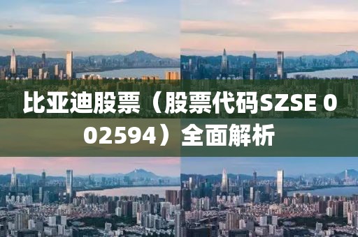 比亚迪股票（股票代码SZSE 002594）全面解析