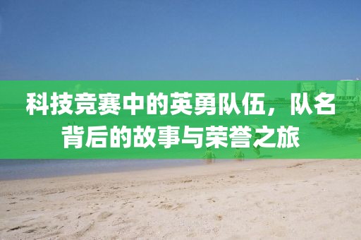 科技竞赛中的英勇队伍，队名背后的故事与荣誉之旅