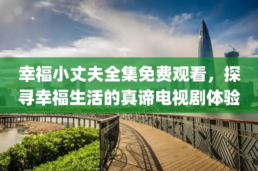 幸福小丈夫全集免费观看，探寻幸福生活的真谛电视剧体验