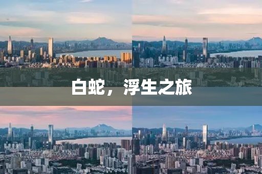 白蛇，浮生之旅