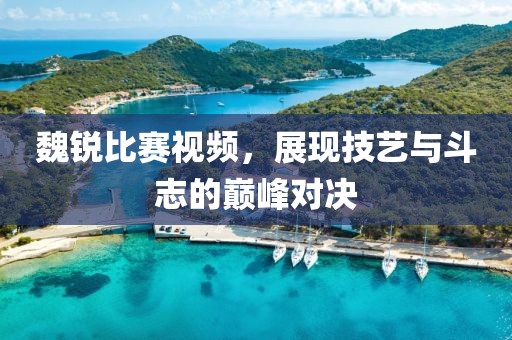 魏锐比赛视频，展现技艺与斗志的巅峰对决