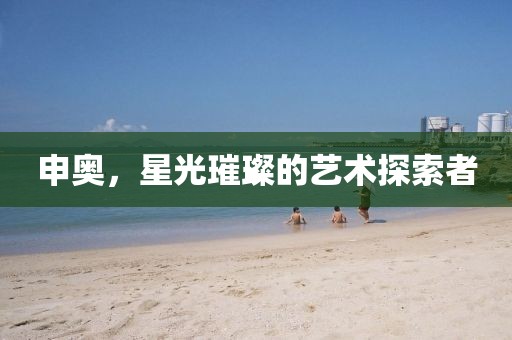申奥，星光璀璨的艺术探索者