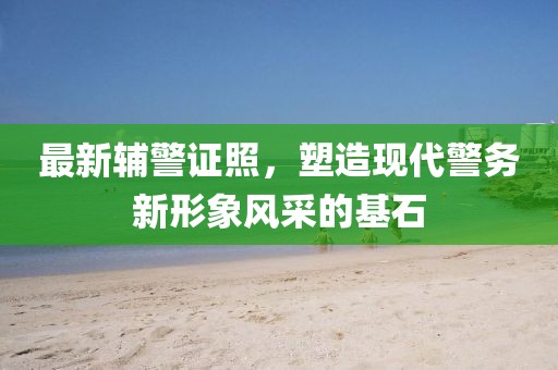 最新辅警证照，塑造现代警务新形象风采的基石