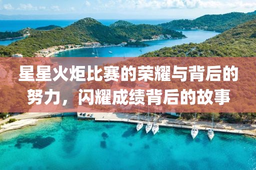 星星火炬比赛的荣耀与背后的努力，闪耀成绩背后的故事