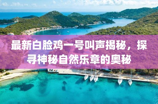 最新白脸鸡一号叫声揭秘，探寻神秘自然乐章的奥秘