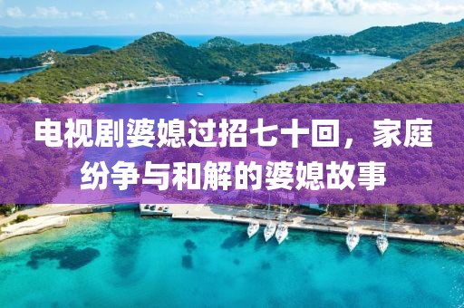 电视剧婆媳过招七十回，家庭纷争与和解的婆媳故事