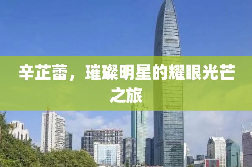 辛芷蕾，璀璨明星的耀眼光芒之旅