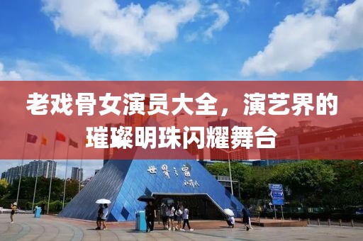 老戏骨女演员大全，演艺界的璀璨明珠闪耀舞台
