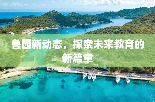 鲁园新动态，探索未来教育的新篇章
