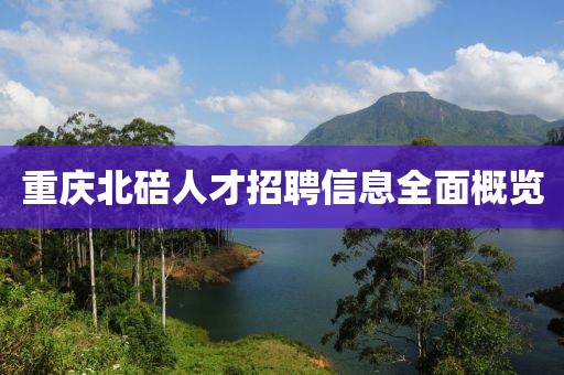 重庆北碚人才招聘信息全面概览