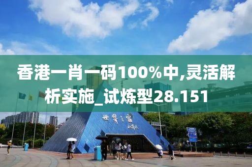 香港一肖一码100%中,灵活解析实施_试炼型28.151