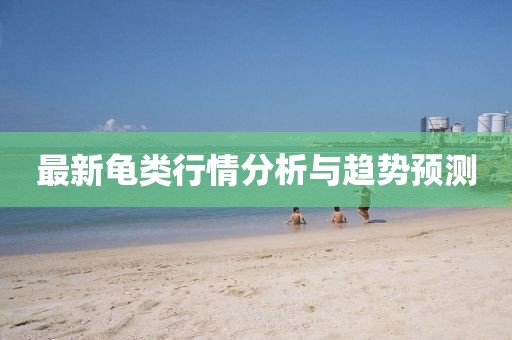最新龟类行情分析与趋势预测