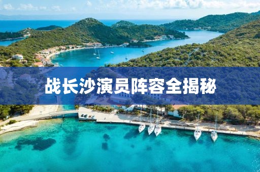 战长沙演员阵容全揭秘